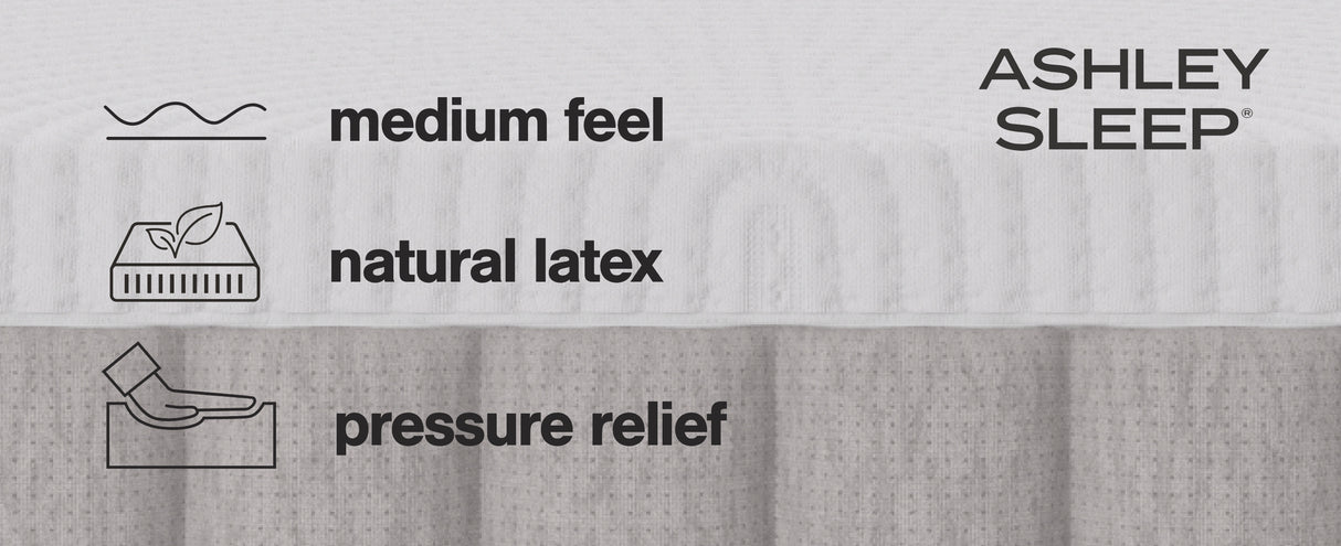 Terra Sleep Medium Mattresses