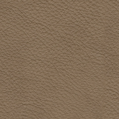 Veronella Living Room