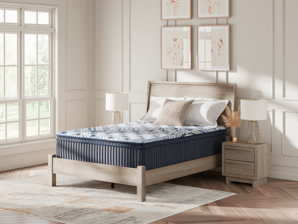 Nashville Furniture Outlets - Ashley Furniture - Plush Luxe 2.0 Mattresses - Queen / Blue - M49731