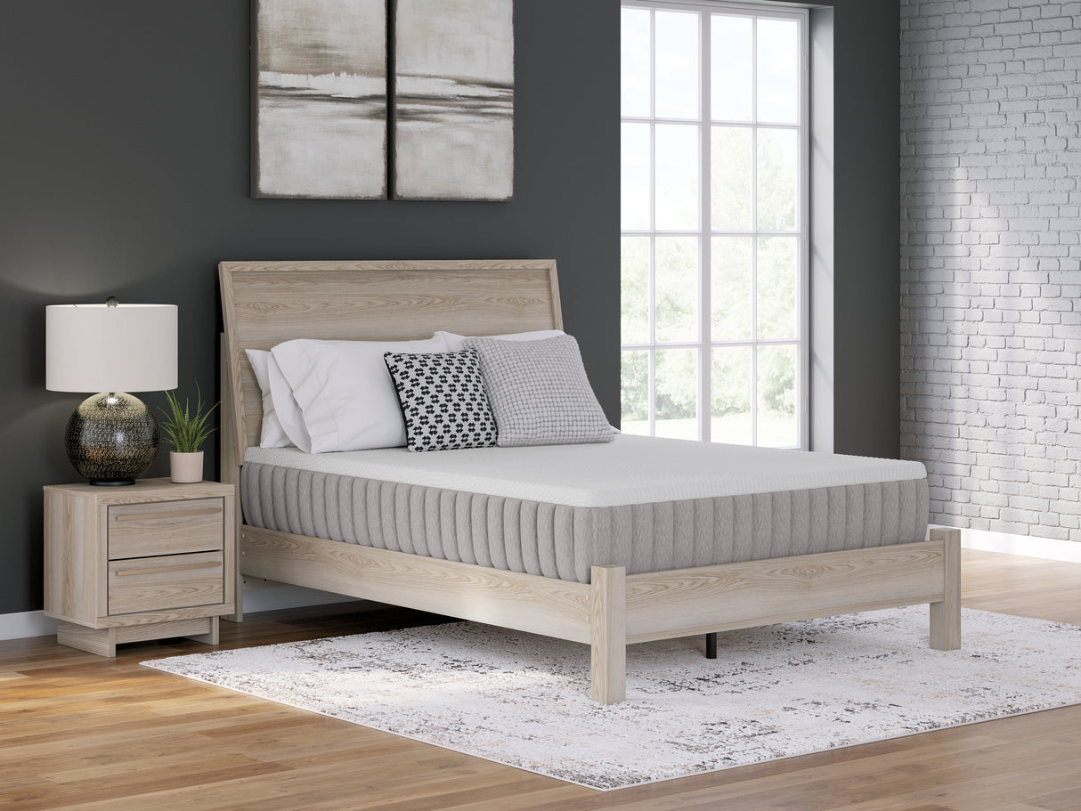 Nashville Furniture Outlets - Ashley Furniture - Terra Sleep Medium Mattresses - Queen / White - M52331