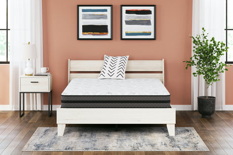 Nashville Furniture Outlets - Ashley Furniture - 10 Inch Pocketed Hybrid Mattresses - California King / White - M58951