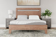 Nashville Furniture Outlets - Ashley Furniture - 8 Inch Memory Foam Mattresses - RV King / White - M59143
