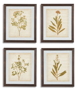 Dyani Wall Decor