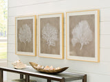 Nashville Furniture Outlets - Ashley Furniture - Hendridge Wall Decor - Wall Art Set (3/CN) / Taupe/White - A8000486