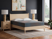 Nashville Furniture Outlets - Ashley Furniture - 13 Inch Hybrid Hot Buy Mattresses - King / Multi - M20741
