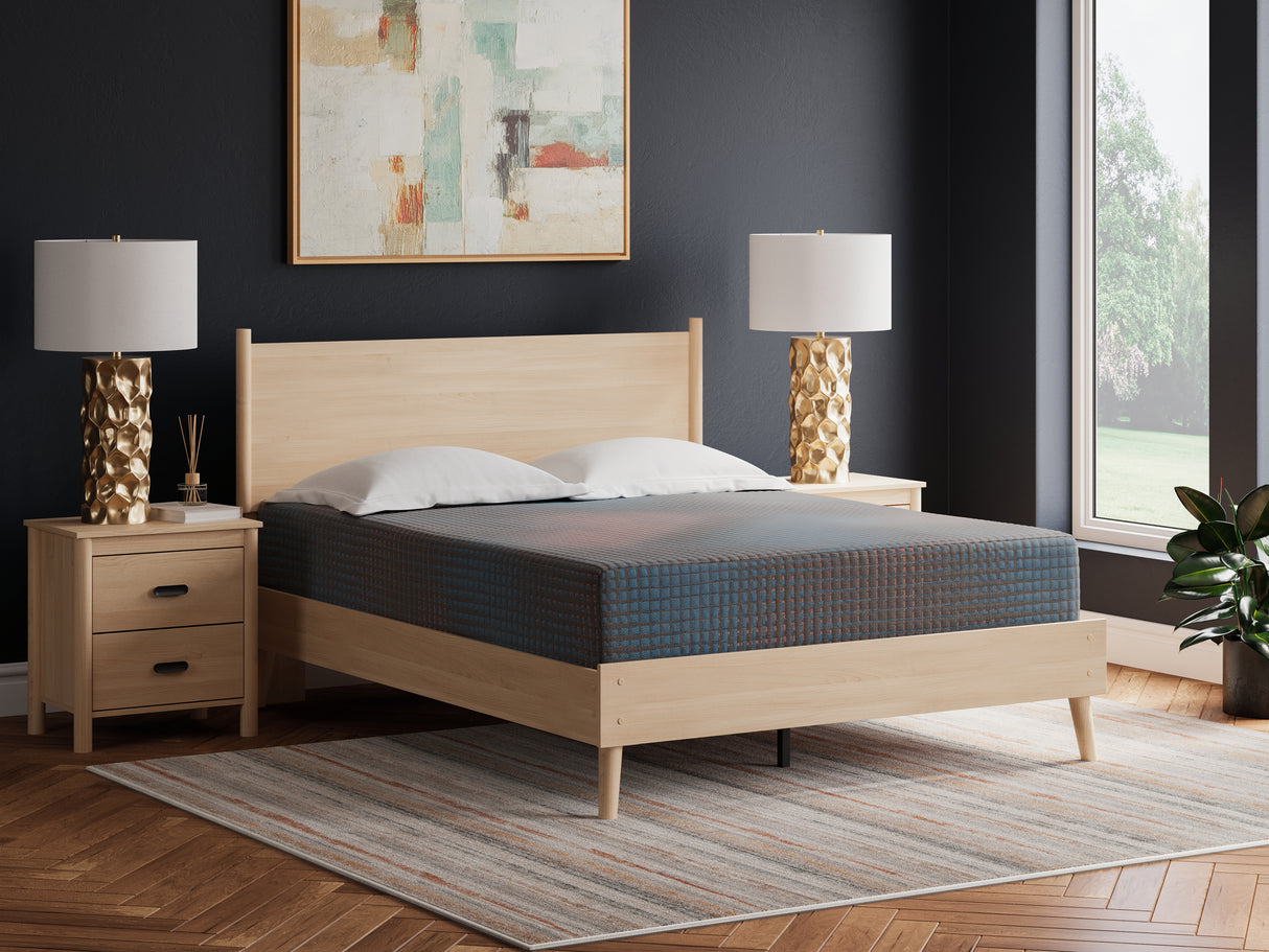 Nashville Furniture Outlets - Ashley Furniture - 13 Inch Hybrid Hot Buy Mattresses - Queen / Multi - M20731