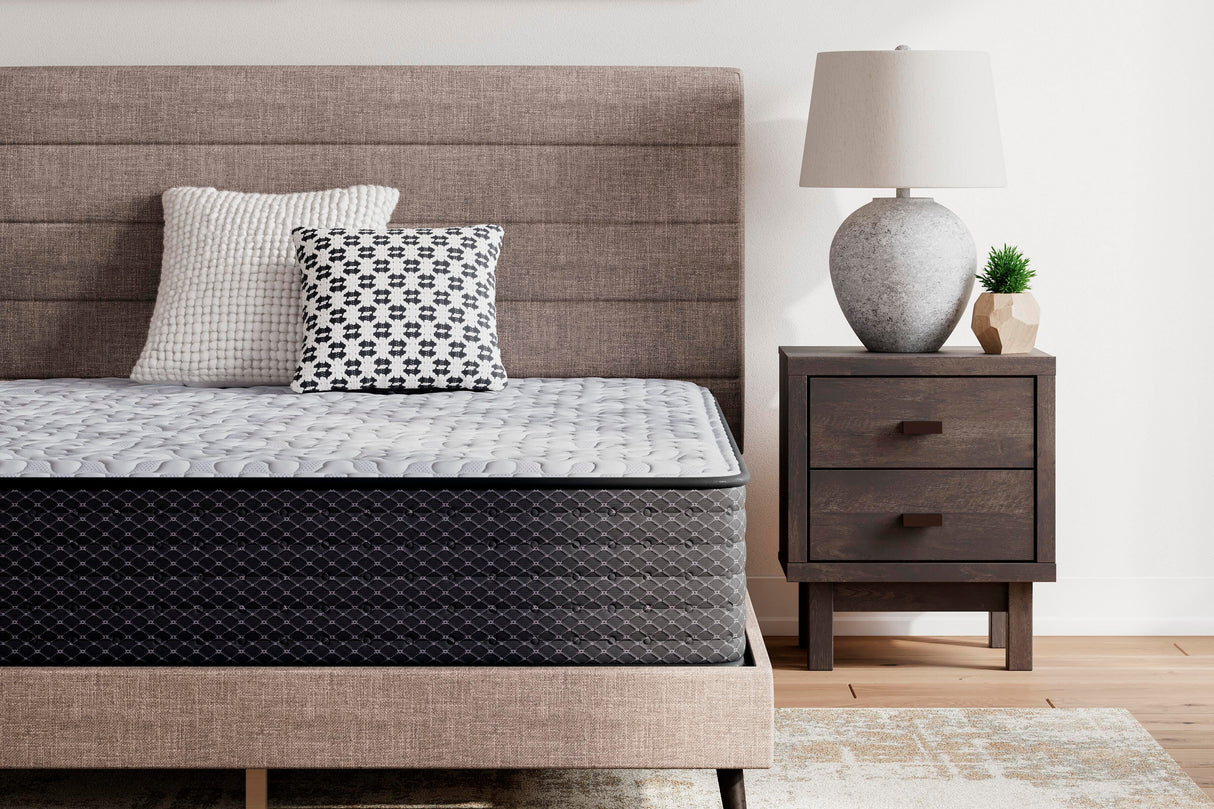 Anniversary Edition Plush Mattresses