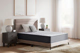 Nashville Furniture Outlets - Ashley Furniture - Anniversary Edition Plush Mattresses - Twin - M42111