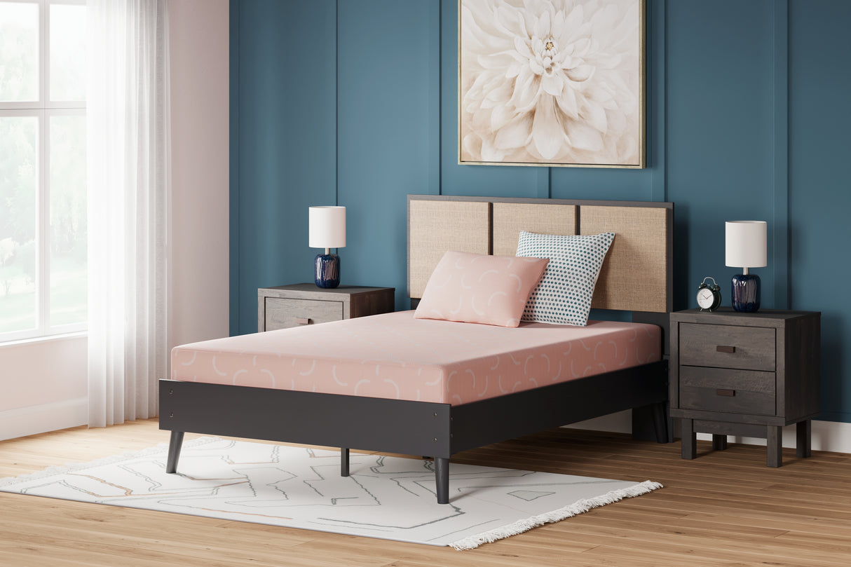 Nashville Furniture Outlets - Ashley Furniture - iKidz Coral Mattresses - Twin and Pillow 2/CN / Coral - M43111