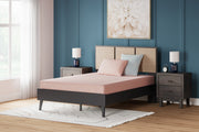 Nashville Furniture Outlets - Ashley Furniture - iKidz Coral Mattresses - Twin and Pillow 2/CN / Coral - M43111