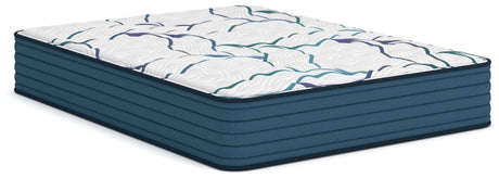 Nashville Furniture Outlets - Ashley Furniture - Limited Edition Firm 3.0 Mattresses - Queen - M45031