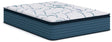 Nashville Furniture Outlets - Ashley Furniture - Limited Edition Plush PT 3.0 Mattresses - Queen - M45231