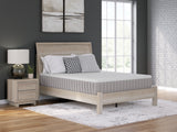 Nashville Furniture Outlets - Ashley Furniture - Terra Sleep Medium Mattresses - King / White - M52341