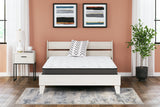 Nashville Furniture Outlets - Ashley Furniture - 8 Inch Bonnell Hybrid Mattresses - Queen / White - M58731