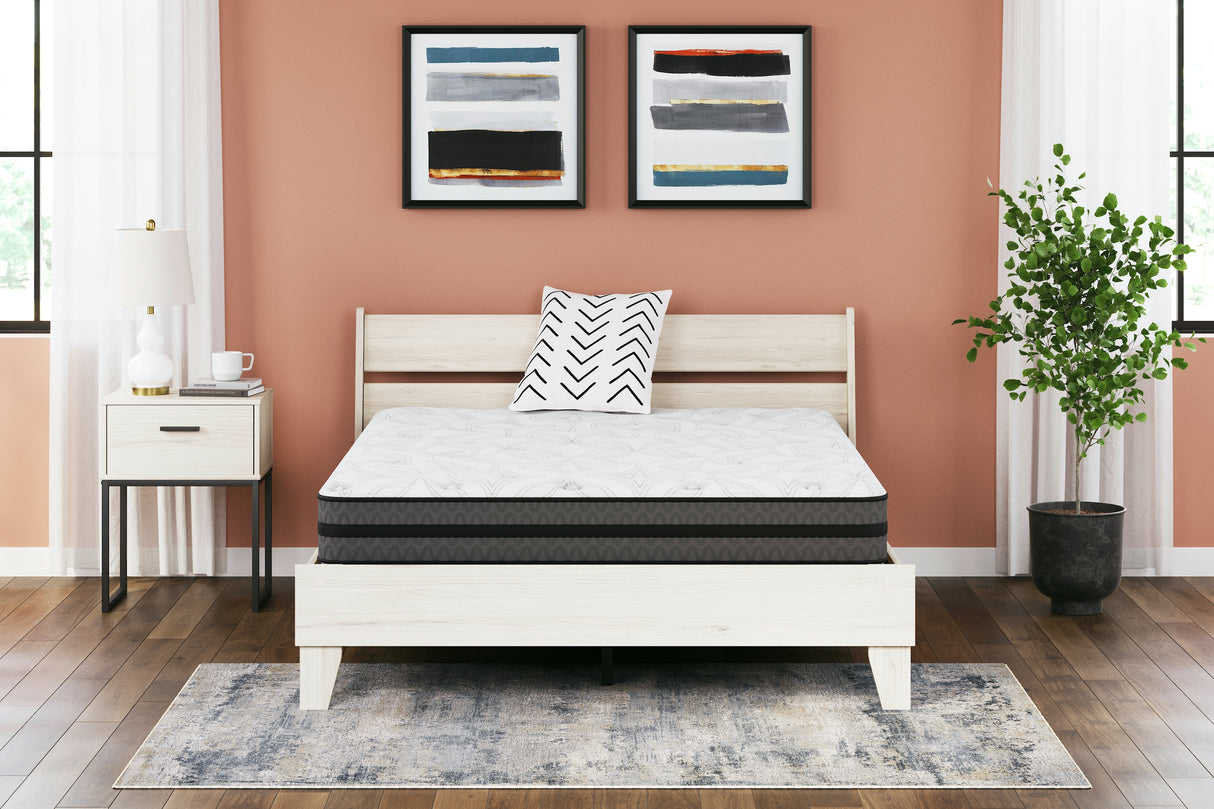 Nashville Furniture Outlets - Ashley Furniture - 10 Inch Pocketed Hybrid Mattresses - Queen / White - M58931