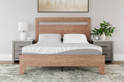Nashville Furniture Outlets - Ashley Furniture - 8 Inch Memory Foam Mattresses - RV King / White - M59143