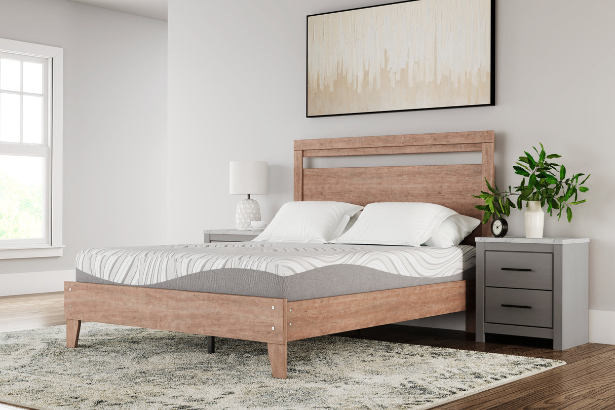 Nashville Furniture Outlets - Ashley Furniture - 10 Inch Memory Foam Mattresses - California King / White - M59251