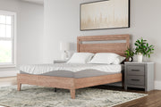 Nashville Furniture Outlets - Ashley Furniture - 10 Inch Memory Foam Mattresses - Twin / White - M59211