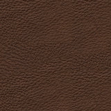 Knightington Living Room